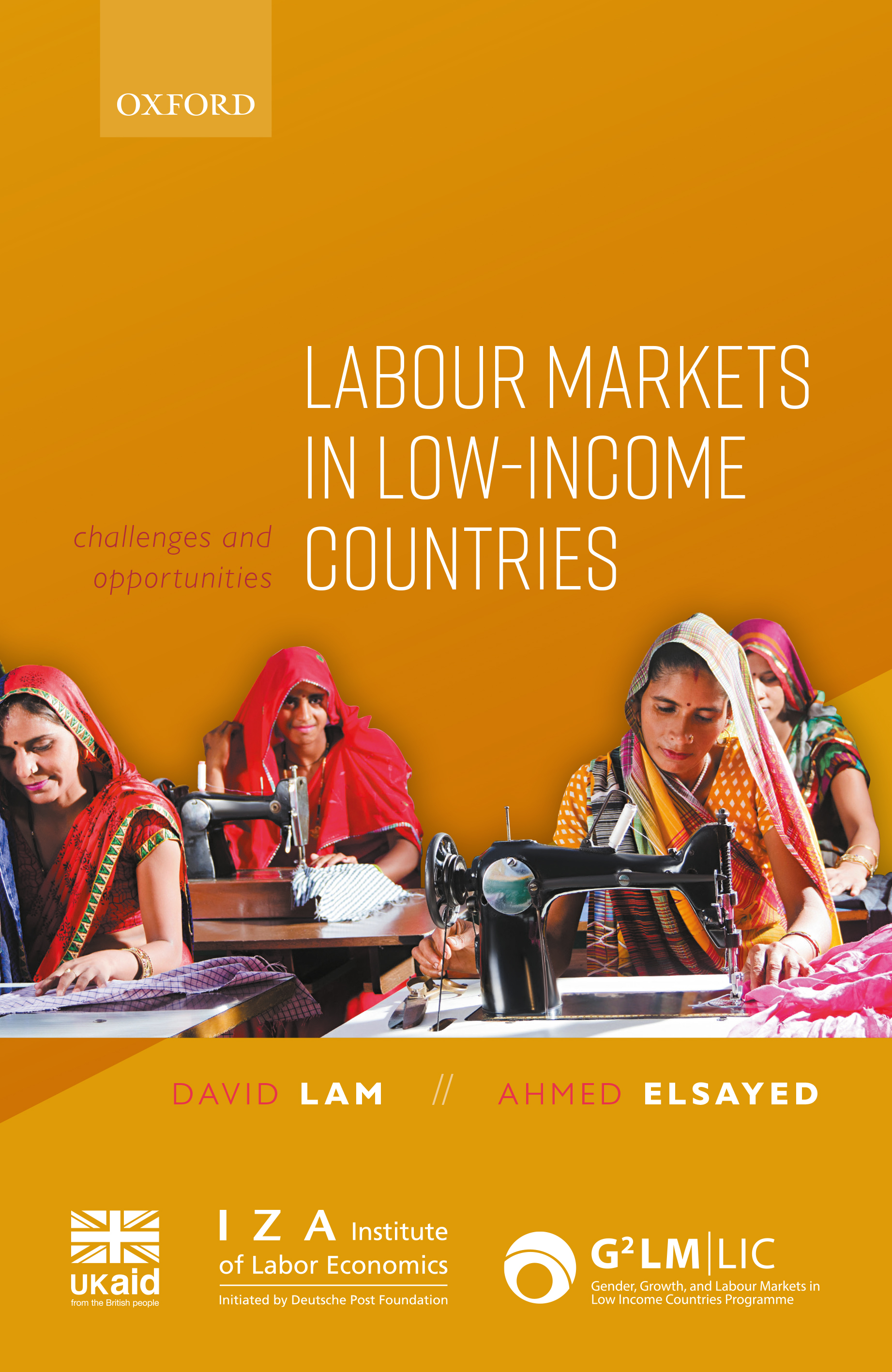 Labour Markets in Low-Income-Countries
